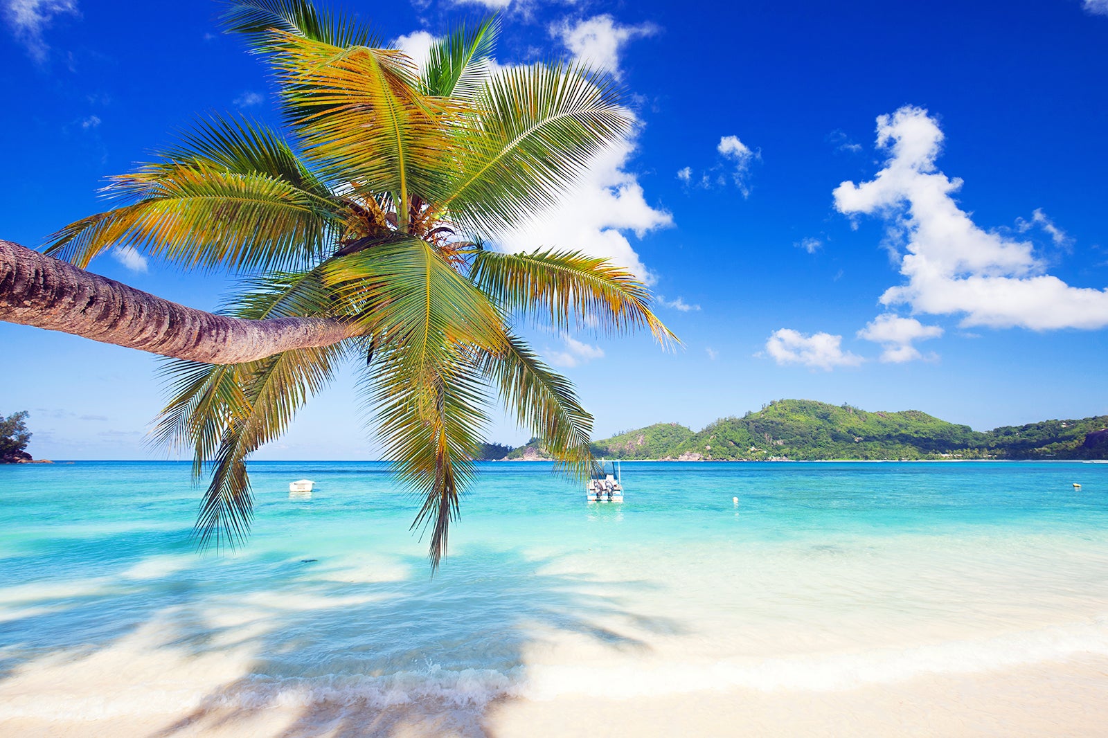 Expedia Discounts, Coupons & Employee Discounts